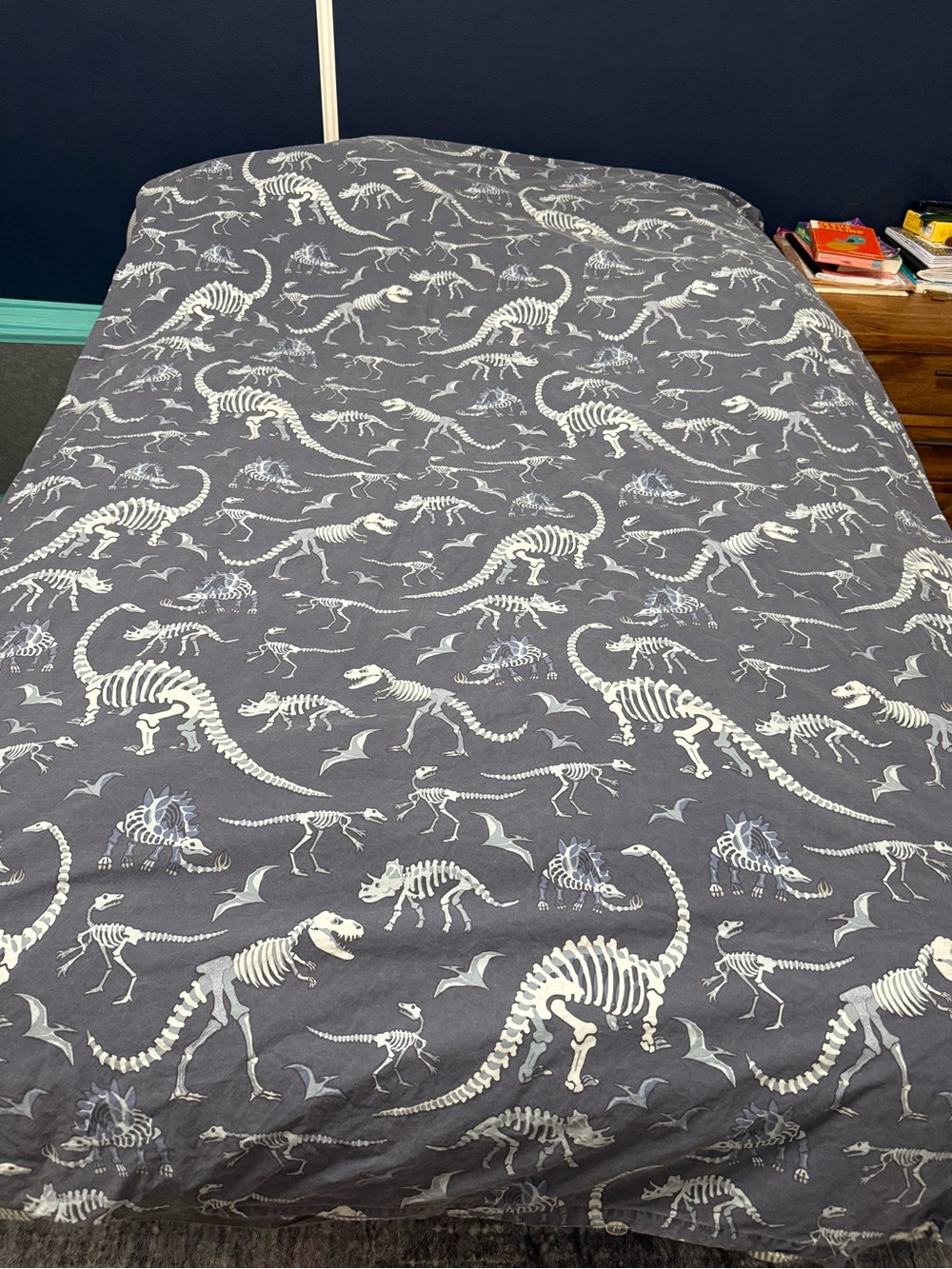 POTTERY BARN KIDS Dino Bones Large Duvet Cover Twin 100% Cotton